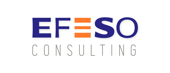 Efeso Consulting Inc.